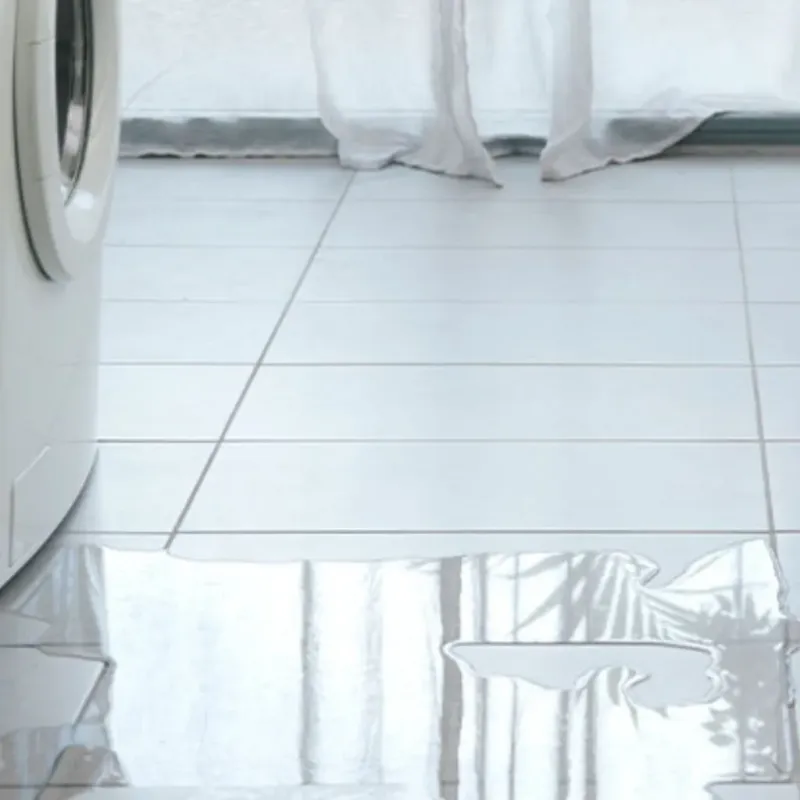 Appliance Leak Cleanup in Wheaton, IL