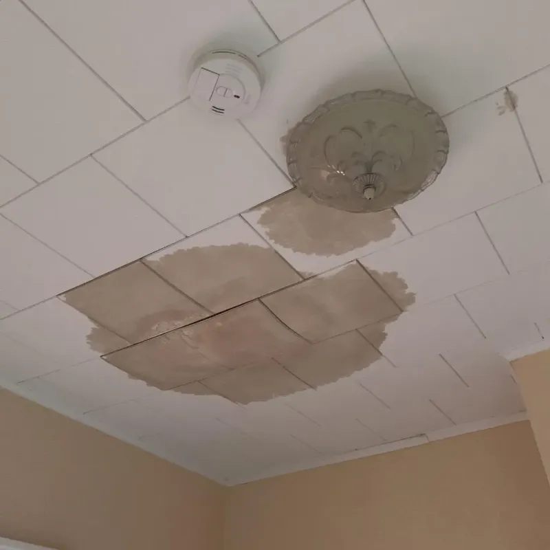 Ceiling Water Damage Repair in Wheaton, IL
