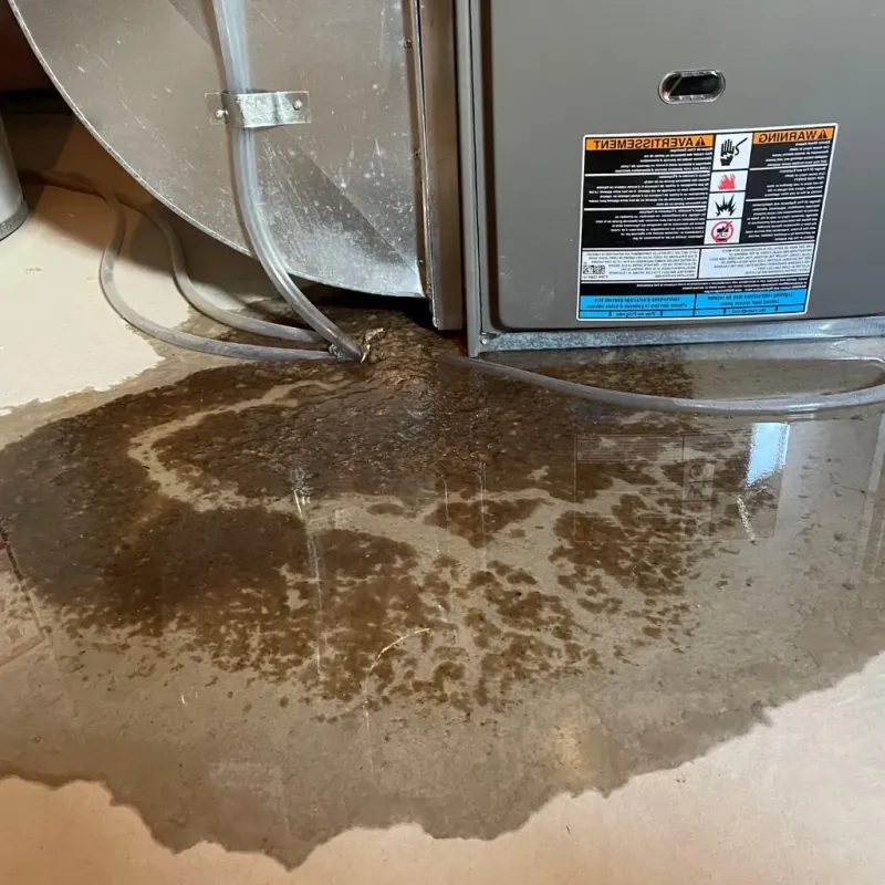 Pipe Burst and Leak Restoration in Wheaton, IL